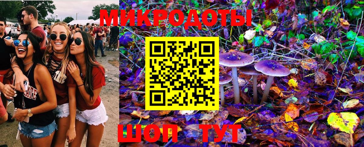 Мурино  Псилоцибиновые грибы Cubensis  цена наркотик  Вход с VPN 